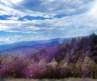 Photography - A Moment In The Mountains - Digital Arts