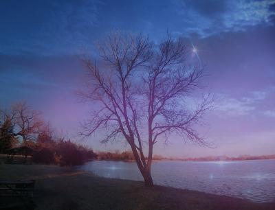 Photography - Evening Twinkles - Digital Arts