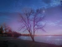 Evening Twinkles - Digital Arts Photography - By Artistry By Ajanta, Nature Photography Artist