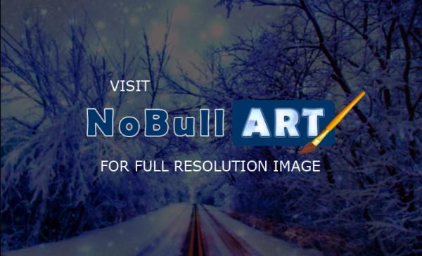 Photography - Blizzard - Digital Arts