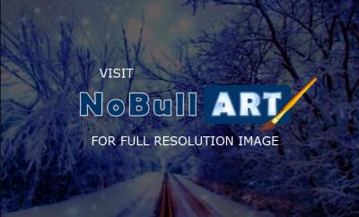 Photography - Blizzard - Digital Arts
