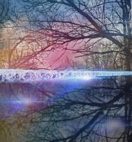 Photography - Natures Mirror - Digital Arts