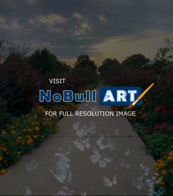 Photography - Garden Stroll - Digital Arts