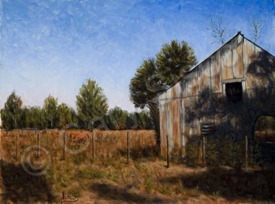 Landscape - Ole Metal Barn - Oil On Linen