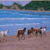 Wait For Me - Oil On Linen Paintings - By Gary Sisco, Impressionist Painting Artist