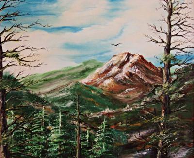 Landscape - View Of The Mountains Near Colorado Springs - Acrylic