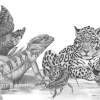Animal Compilation - Graphite Pencil Drawings - By Nathan Mcnee, Semi Realism Drawing Artist