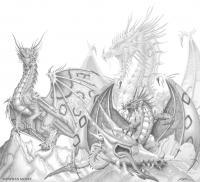 Dragons - Graphite Pencil Drawings - By Nathan Mcnee, Semi Realism Drawing Artist