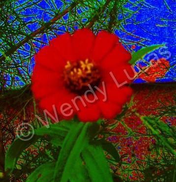 Photo Art - Crazy Cosmos - Photography