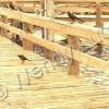Gone Fishin III - Photography Photography - By Wendy Lucas, Realistic Photography Artist