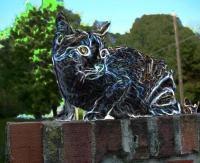 Cat On A Wall - Digital Digital - By Rachel Stiles, Digital Digital Artist
