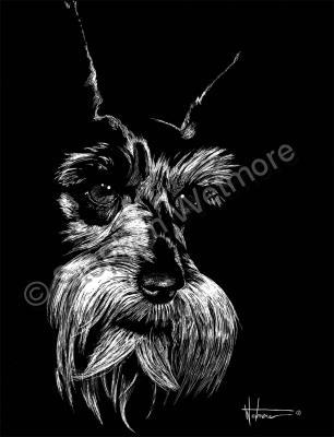 Dogs - Sad Eyed Schnauzer - Scratch Art