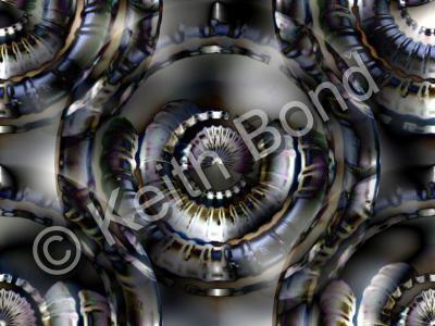 Photographs - Ammonites - Photography