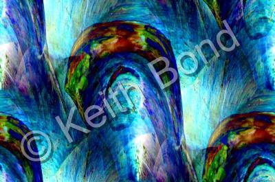 Photographs - Abalone Shell - Photography