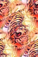 Photographs - Tiger Tiger Burning Bright - Photography
