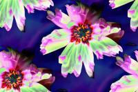 Digital - Psychedelic Fleur - Photography