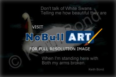 Photographs - White Swans - Photography