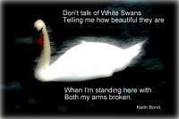 White Swans - Photography Photography - By Keith Bond, Poem Photography Artist