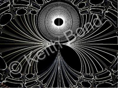 Digital - Intricate Web - Photography