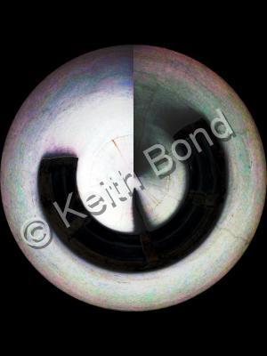 Photographs - Sonar Scan - Photography