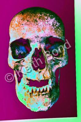 Photographs - Skull - Photography