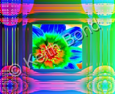 Digital - Flora - Digital Photograph
