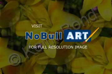Floral - Yellow Lilies - Photography