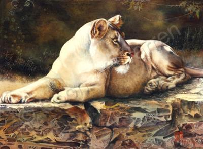 Original Watercolor Painting - Lioness - Waiting - Watercolor