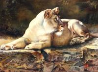 Original Watercolor Painting - Lioness - Waiting - Watercolor