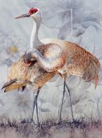 Sandhill Cranes - Watercolor Paintings - By Soon  Y Warren, Realism Painting Artist