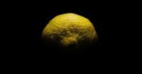 Lemon - Eye Photography - By Cagri Yilmaz, Detail Photography Artist