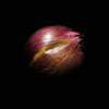 Onion - Eye Photography - By Cagri Yilmaz, Detail Photography Artist
