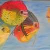 Moody Fishes - Oil On Oil Sheet Paintings - By Bhawana Arya, Realism Painting Artist