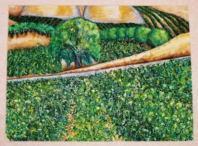 Landscapes - Yin And Yang In The Vineyard - Watercolors