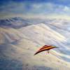 The Hangglider - Oil On Canvas Paintings - By Priyadarshi Gautam, Impressionistic Painting Artist
