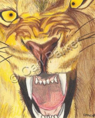 Wildlife - Angry Lion - Add New Artwork Medium