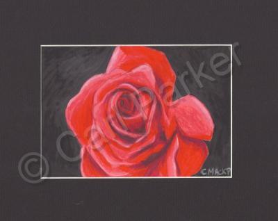 Flowers - Red Rose - Mixed Media