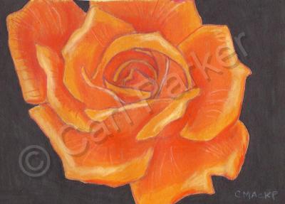 Flowers - Orange Rose - Mixed Media