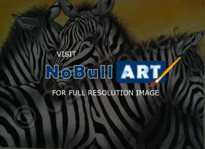 Wildlife - Zebra Cluster - Colored Pencil