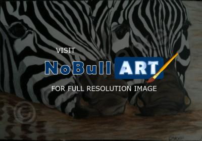 Wildlife - Zebra Noses - Colored Pencil