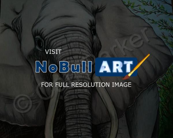 Wildlife - Bull Elephant - Colored Pencil