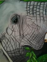 Wildlife - Elephant Eye - Colored Pencil