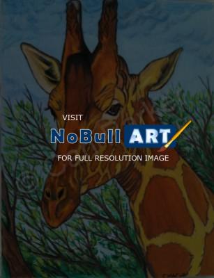 Wildlife - Giraffee In The Tree Tops - Colored Pencil