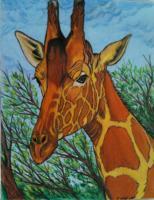 Giraffee In The Tree Tops - Colored Pencil Drawings - By Carl Parker, Realist Drawing Artist