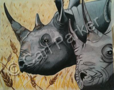 Wildlife - Rhinos - Colored Pencil