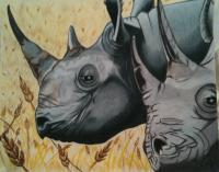 Rhinos - Colored Pencil Drawings - By Carl Parker, Realist Drawing Artist