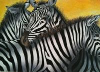 Zebra Cluster - Colored Pencil Drawings - By Carl Parker, Realist Drawing Artist