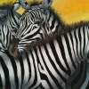 Zebra Cluster - Colored Pencil Drawings - By Carl Parker, Realist Drawing Artist