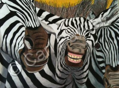 Wildlife - Zebra Humor - Colored Pencil