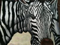 Wildlife - Zebra Racing Sripes - Colored Pencil